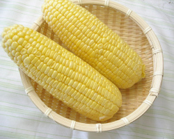 �Ȥ��������