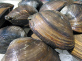 �ۤä���